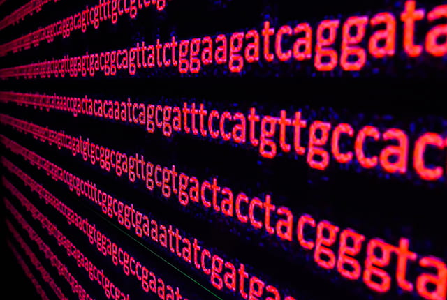 RAMBO speeds searches on huge DNA databases