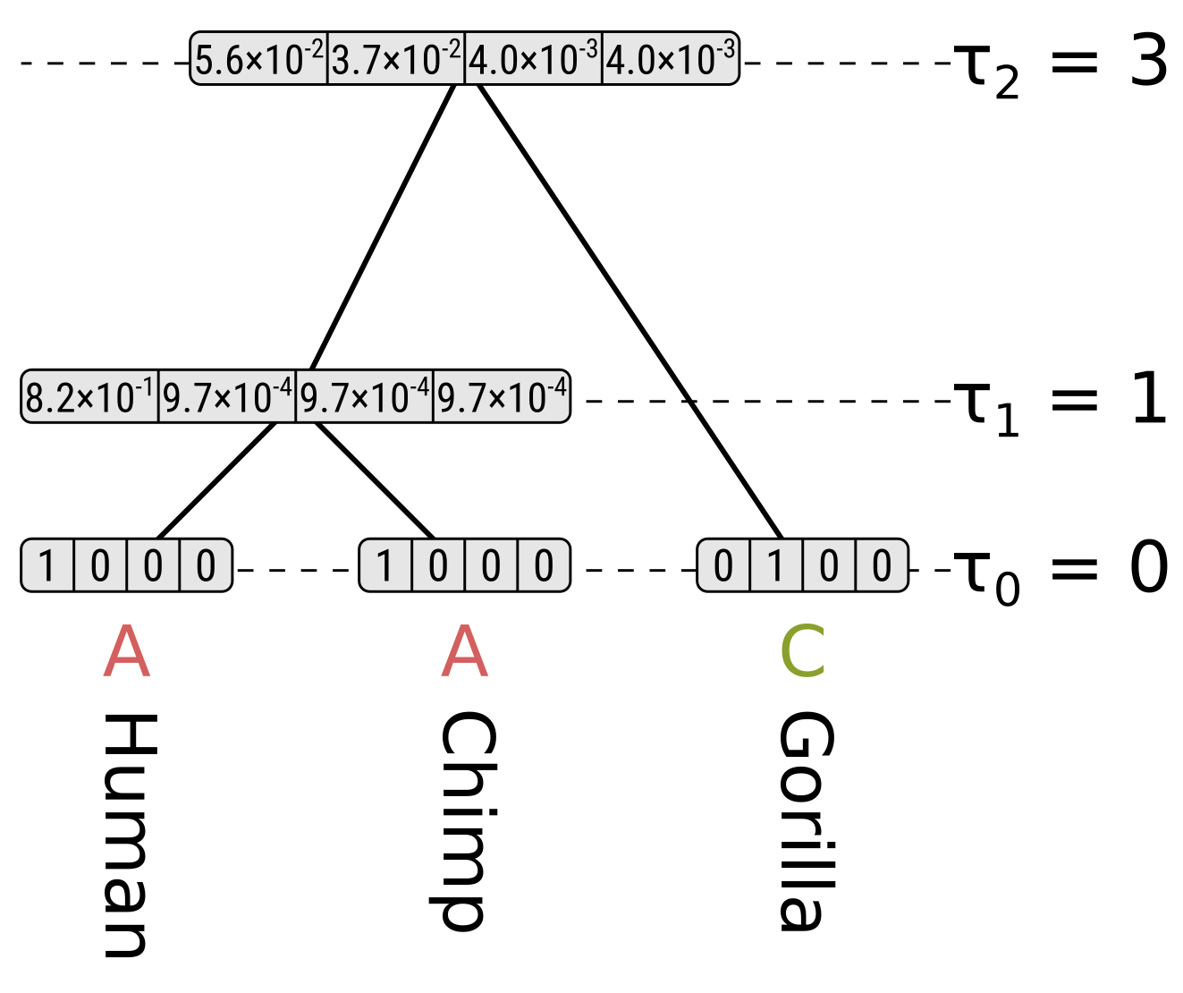 Root state partial likelihoods
